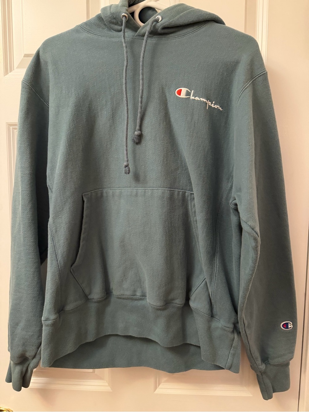 Champion Men's Hooded Sweatshirt in Dusty Teal